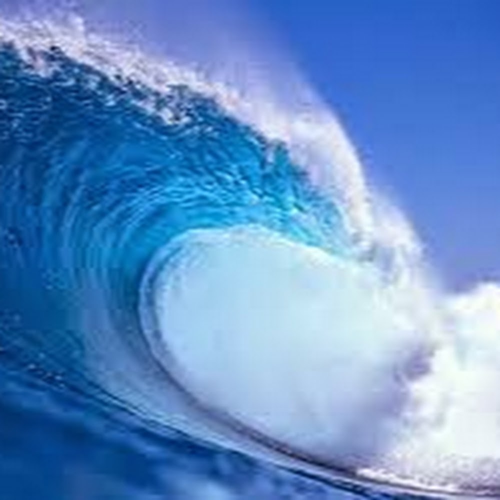 Meet your Posher, Maisie